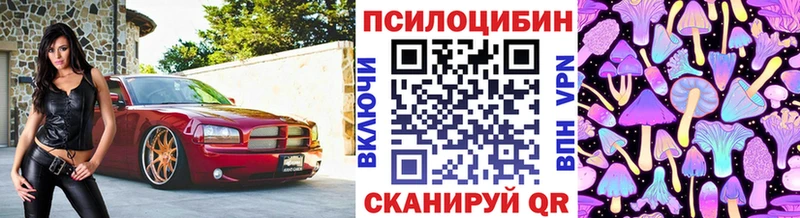 как найти наркотики omg зеркало Псилоцибиновые грибы Psilocybe Маркс
