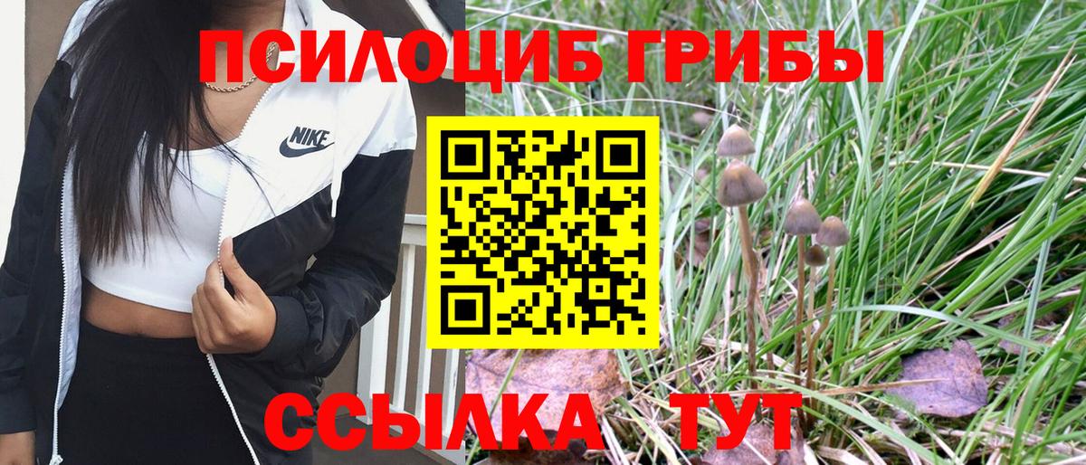 Галлюциногенные грибы Magic Shrooms  Вход с VPN  Маркс  Галлюциногенные грибы Cubensis 
