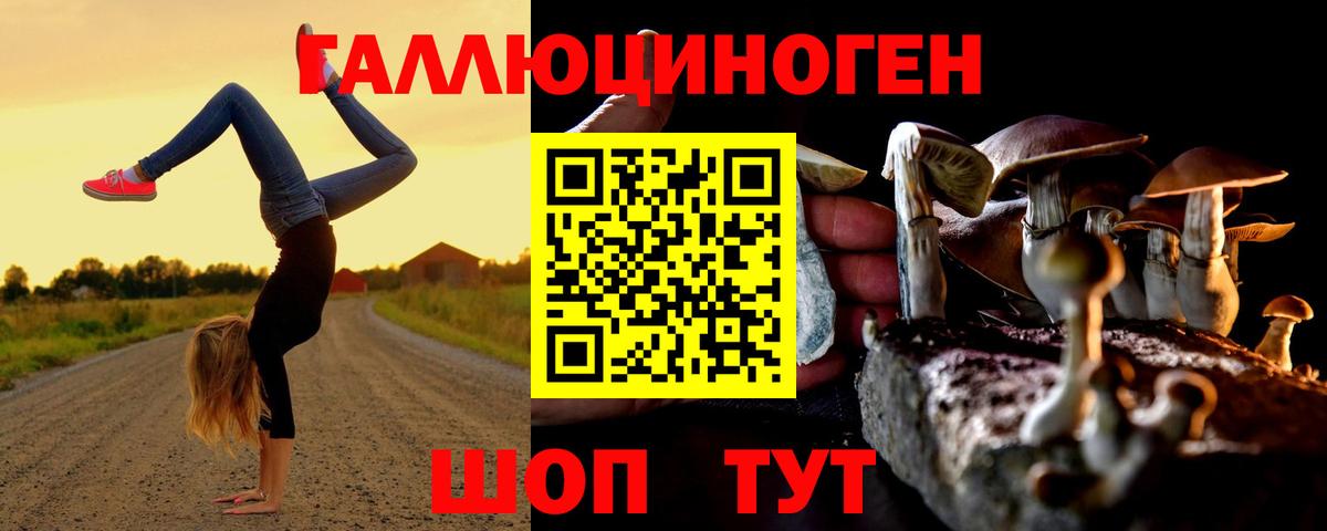 Галлюциногенные грибы мицелий Маркс